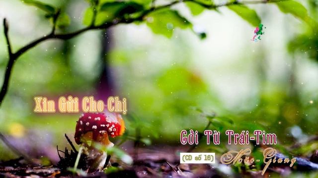 Gởi Từ Trái Tim - 11/13. Xin Gửi Cho Chị ::: Mặc Giang Thi Ngâm CD số 16 смотреть онлайн