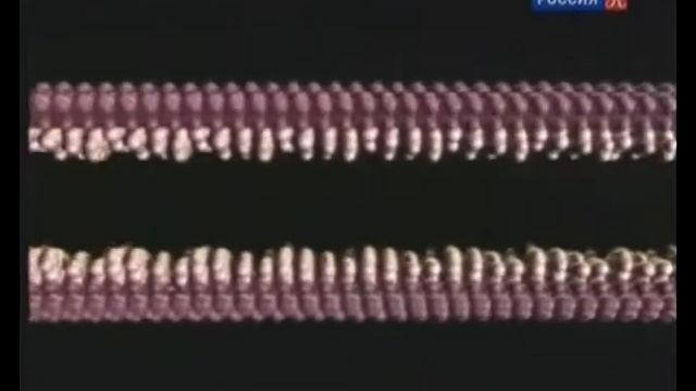 100 величайших открытий. 08 - Генетика (Genetics)