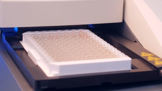 Качественный ИФА