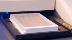 Качественный ИФА