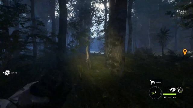 red deer big antlers⁸ смотреть онлайн