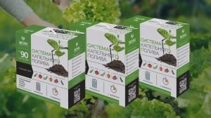 Капельный полив ЖУК от емкости с таймером_промо