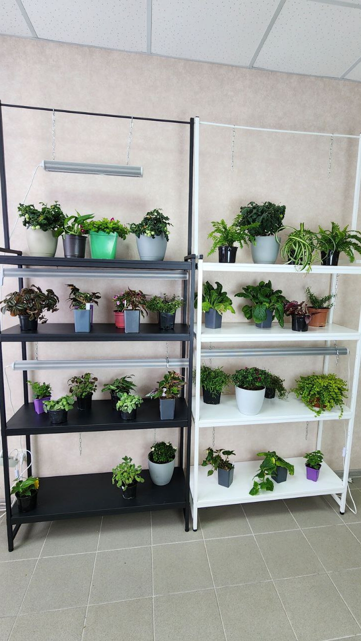 Стеллаж напольный для рассады и домашнего огорода смотреть онлайн