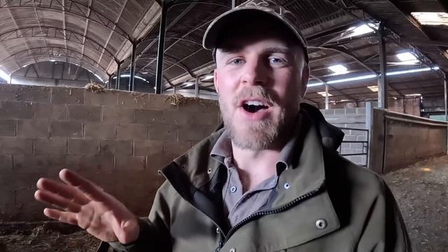 Unlocking the SECRET to Breeding the PERFECT Cow! смотреть онлайн