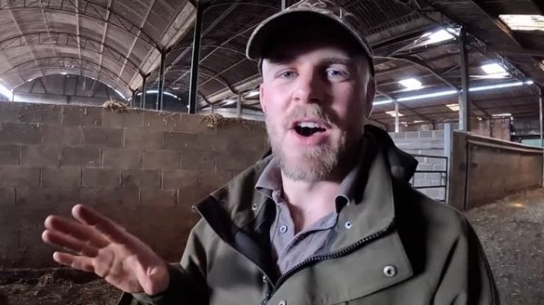 Unlocking the SECRET to Breeding the PERFECT Cow!