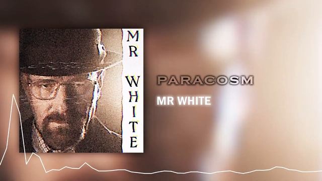 PARACOSM - MR WHITE смотреть онлайн