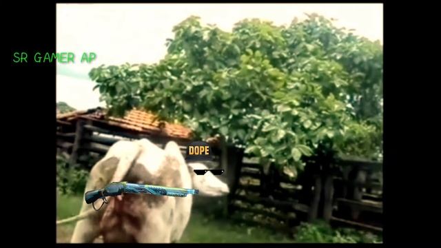 iphone memes video 😂😂 || M887 HEADSHOT 🤣🤣 || free fire funny video 😆 || SR GAMER AP смотреть онлайн