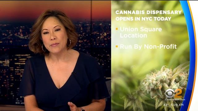 3rd NYC dispensary opens today смотреть онлайн