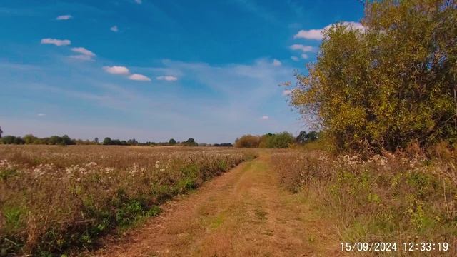 От воды до воды 2 часть в Йошкар-Ола сентябрь 2024 смотреть онлайн