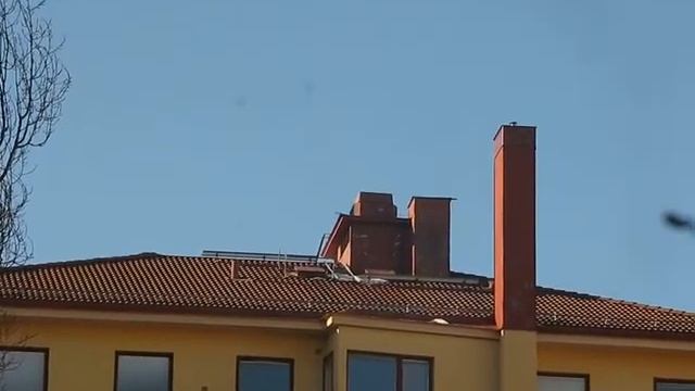 Karlsson is still alive смотреть онлайн