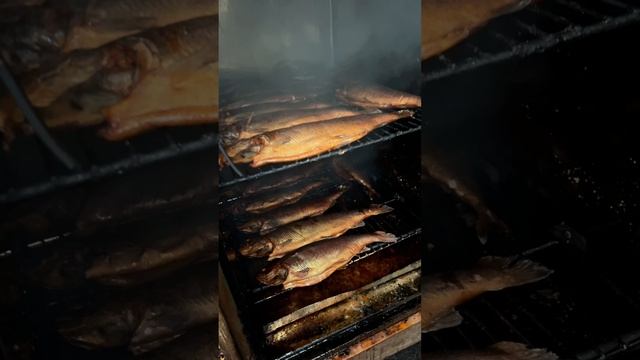 Клуб Любителей Рыбной Ловли