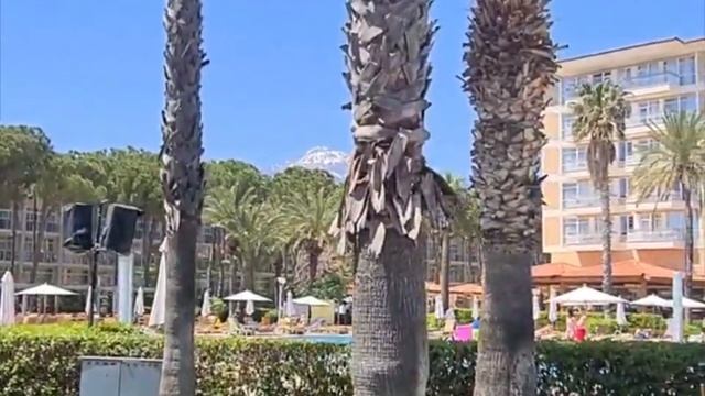 Akka Alinda Hotel Review смотреть онлайн