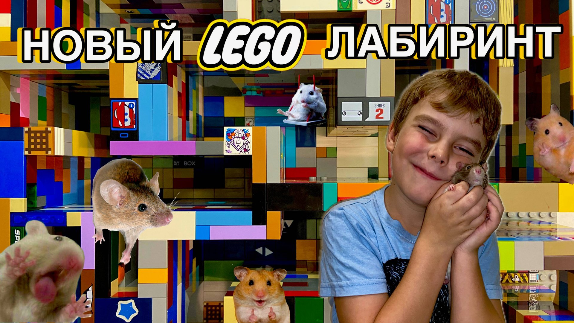 НОВАЯ LEGO САМОДЕЛКА ЛАБИРИНТ ДЛЯ ХОМЯКА И КРЫСЫ смотреть онлайн