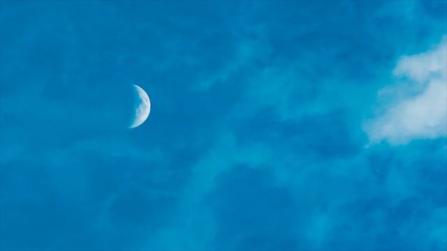 #audiodiary: Опять теряю чутье правильного и неправильного... смотреть онлайн