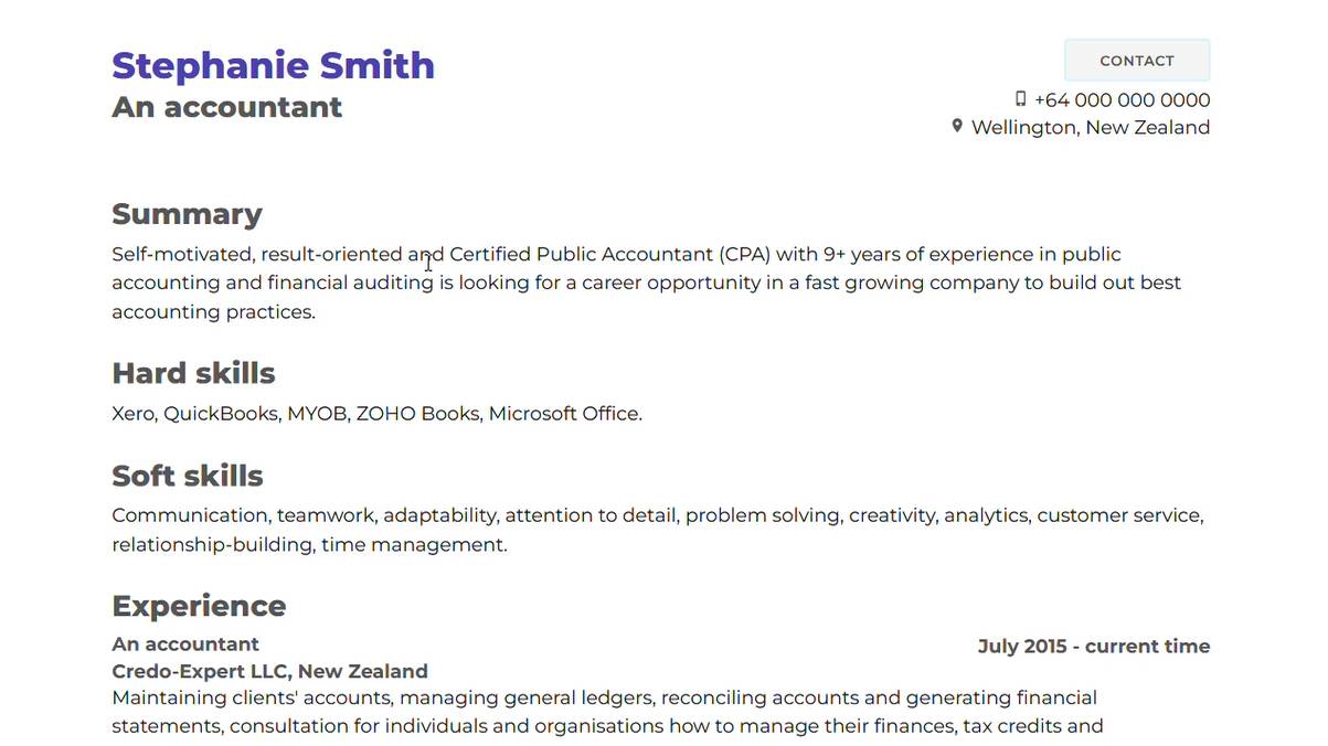 Online Resume Website (Accountant)