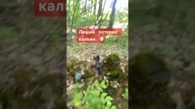 Леший потерял кальян #shorts #коп #рекомендации