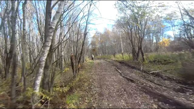 Покатуха 27.10.2024 #1 смотреть онлайн