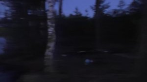 Нижегородские леса. УЖД Чернораменского ТУ. Покинутый поселок Дальний. Бывшие торфоразработки.