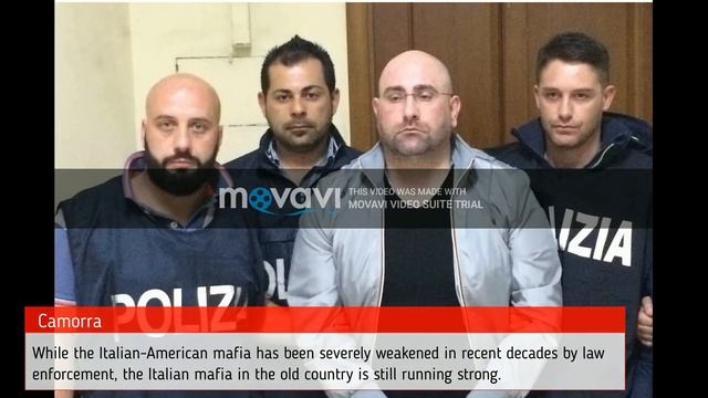 #Mafia The Biggest Organized Crime Groups in the World смотреть онлайн