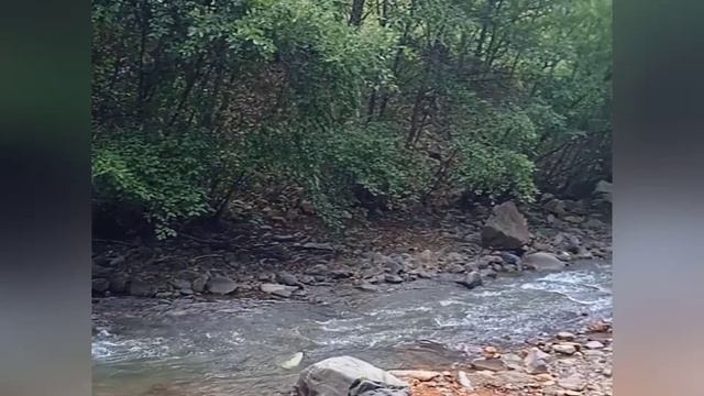 Долина нарзанов