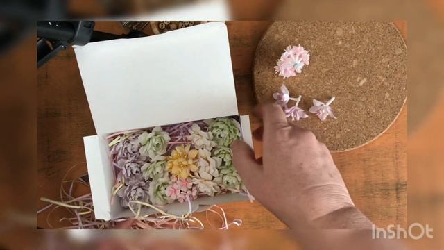 Обзор цветочной подарочной посылки от Светланы Нега смотреть онлайн