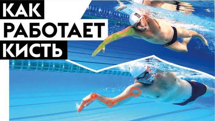 Кисть - Весло в плавании кролем. Правильная техника гребка в кроле смотреть онлайн