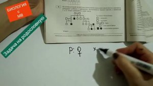 Задача на родословную. ЕГЭ по биологии.