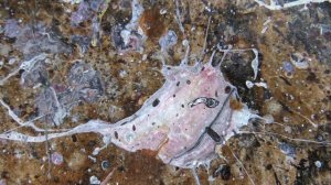 Настоящая Коллекция. Музыка 3rd Force - You Gotta Be Real