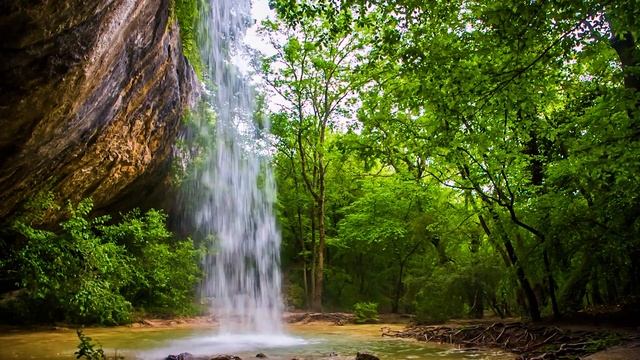 Peaceful Morning Music - Relaxing Stress Relief Piano Music Suitable For Meditation, Studying
