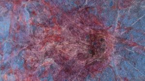 Коллекция Эльфов. Музыка Amure - Dance Little Elves