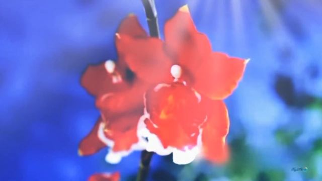 АФФИРМАЦИИ для ЖЕНЩИН. Создай себе лучшую жизнь с помощью этих аффирмаций смотреть онлайн