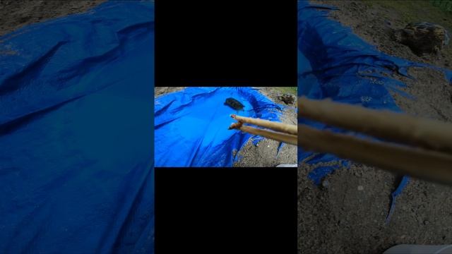 #Giant #Turtle #escaped goes out #hunting . #SheldonZilla #adventures #reptiles #subscribe #new смотреть онлайн