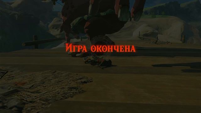 The Legend Of Zelda: TotK. Серия 025