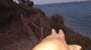 Штраф -  $ 1.000.000 . В Австралии с этим не шутят ! Элла Австралия