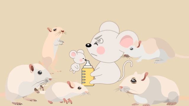 Mouse Utopia Experiment (Behavior sink caused by extreme material satisfaction) смотреть онлайн