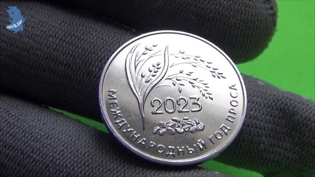 Приднестровье. 25 рублей 2023 года . Международный год проса. #643 смотреть онлайн