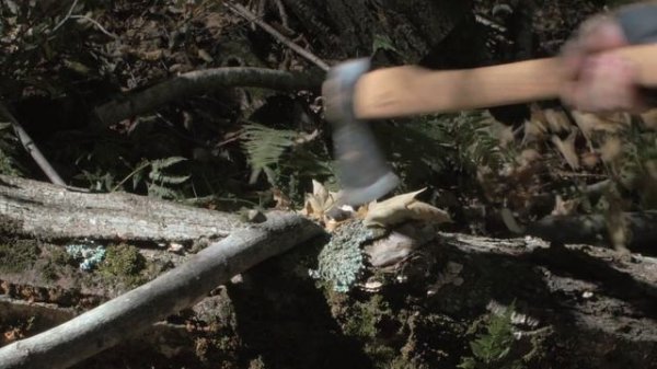 Toporsib - the best handforged Russian axes from Siberia