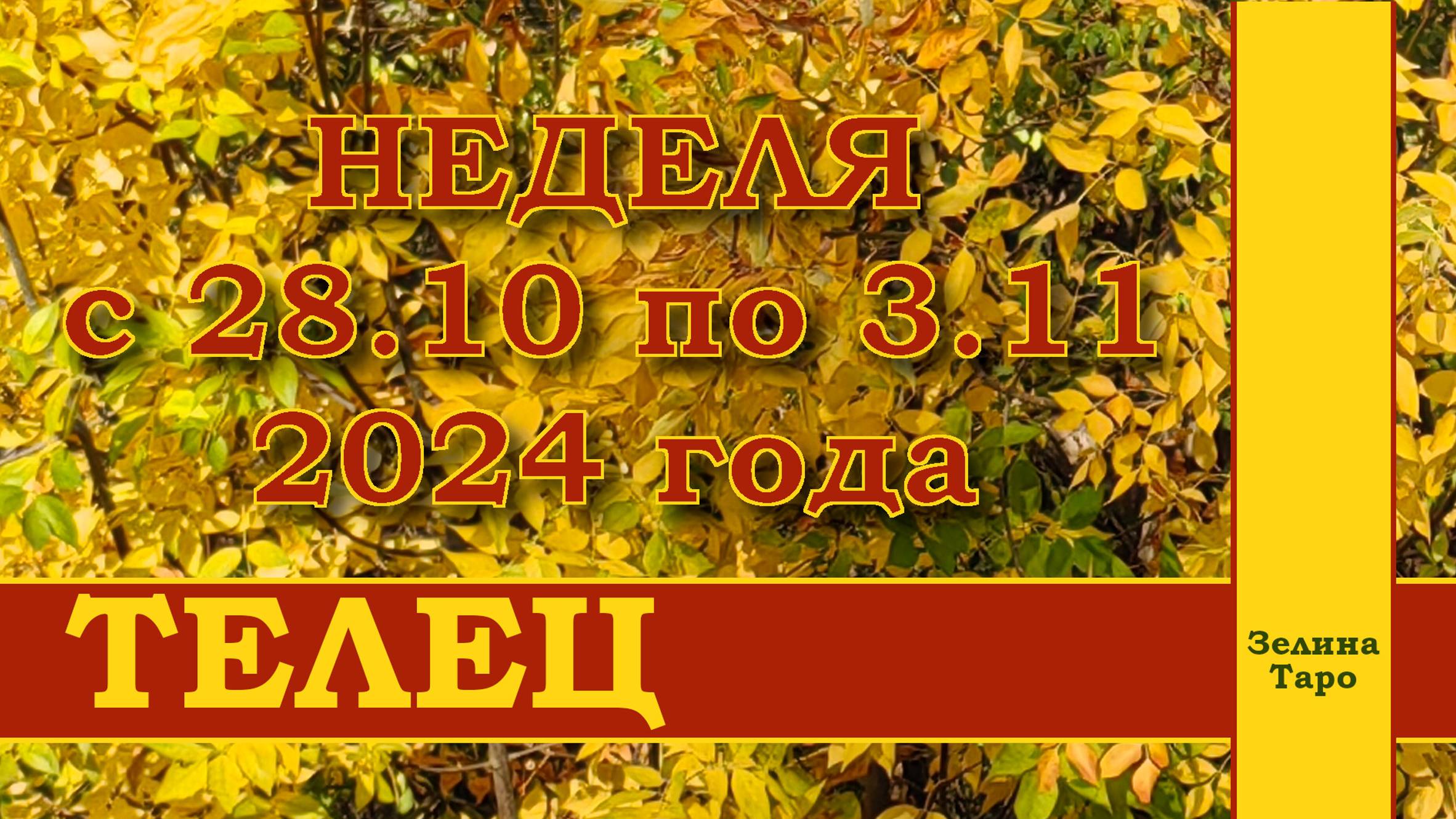 ТЕЛЕЦ | ТАРО прогноз на неделю с 28 октября по 3 ноября 2024 года