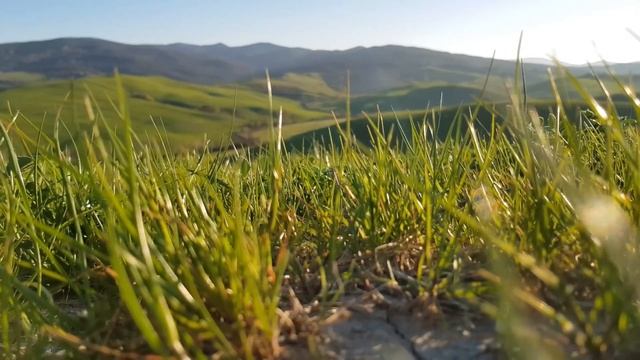 Этика для нового тысячелетия. Лекция в Делийском университете. 9 августа 2010. Нью-Дели, Индия. смотреть онлайн