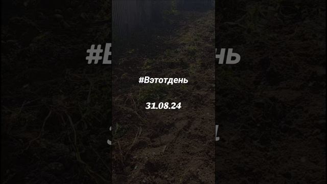 В этот день 31.08.2024 . #вэтотдень #Вэтотдень #310824 смотреть онлайн