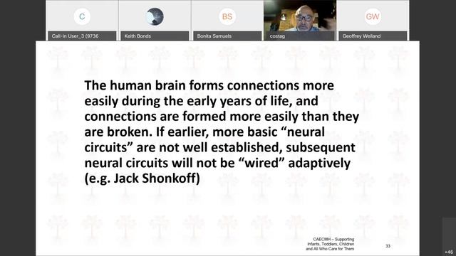 "How Does Stress Affect Young Children and How Can We Help" WebEx w/ Dr. Gerry Costa (9/15/20) смотреть онлайн