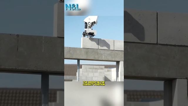 This how a Germans build houses смотреть онлайн