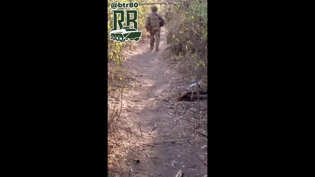 ⚡️СВО 18+ Лесополосы завалены украинскими боевиками. смотреть онлайн
