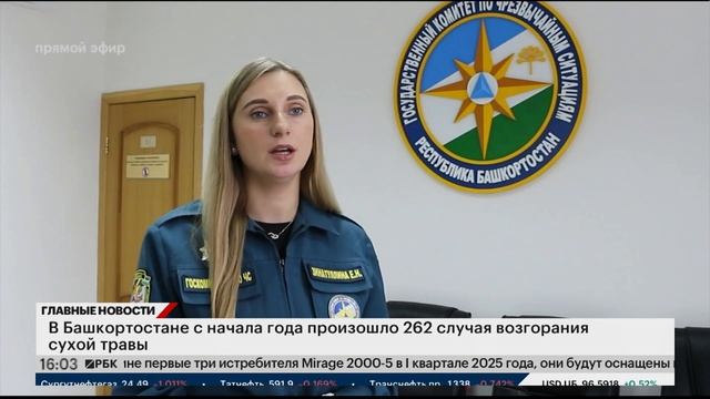 В Башкортостане с начала года произошло 262 случая возгорания сухой травы. смотреть онлайн