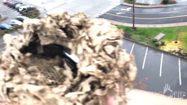 Can a Wasp Nest Protect an iPhone 7 from a 100 FT Drop Test? - Gizmoslip смотреть онлайн