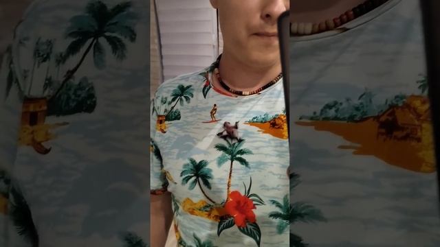 ручной дракон #mosacore #животные смотреть онлайн