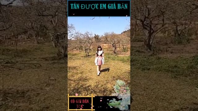 Tán được em gái bản vùng cao ,Vietnamese cultural identity #dantoc #vungcao #cultural смотреть онлайн