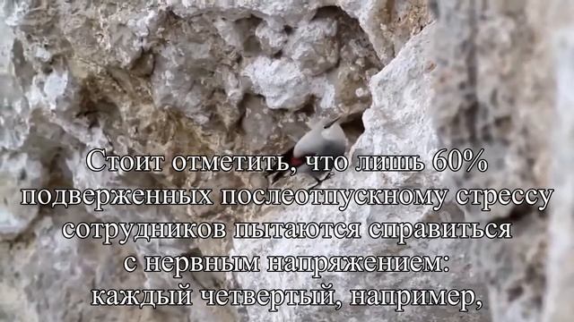 Каждый четвертый работник подвержен риску послеотпускной депрессии — Статья смотреть онлайн