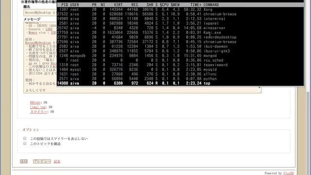 本当に困る linux ubuntu lxde Disply caputure problem смотреть онлайн