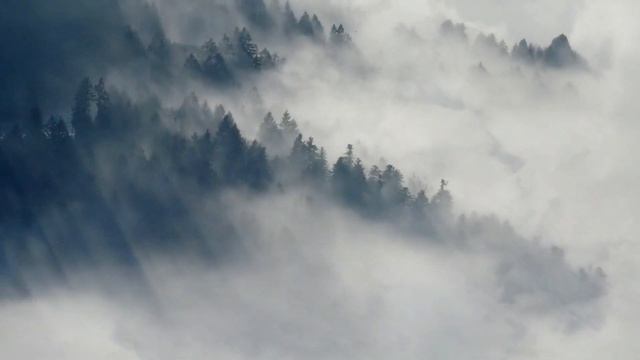 Nostalgic Music For Self Reflection Experience And Listening смотреть онлайн